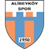 Alibeykoyspor